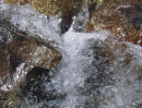 Chant de l’eau et Secrets du Yoga