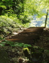 Les dernières marches