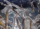 Funkelnde winterliche Magie
