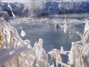 Winterliche Magie am Rand des Wassers