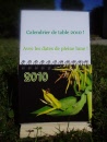 Calendar 2010