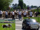 Alpaufzug 2009, Granges du Miroir