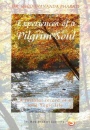 Pilgrim Soul 