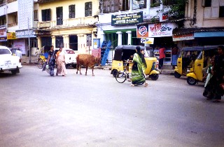 Dr. Shuddhananda Bharati Festival 12.11.1995 in Madras