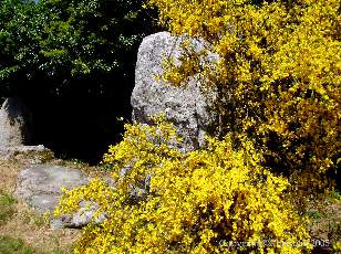 Carnac