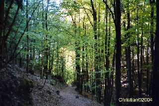 Les Gorges de Covatannaz