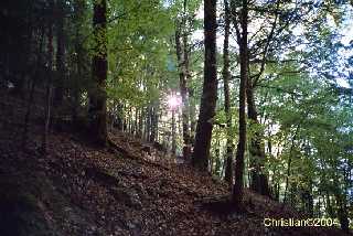 Les Gorges de Covatannaz