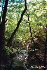 Les Gorges de Covatannaz