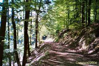 Les Gorges de Covatannaz