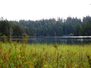 Etang de la Grure