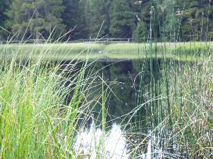 Etang de la Grure