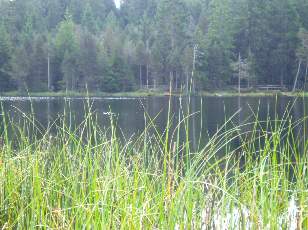 Etang de la Grure