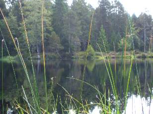 Etang de la Grure