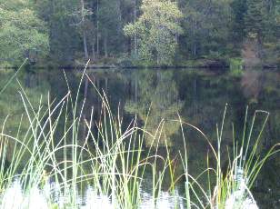 Etang de la Grure