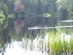 Etang de la Grure