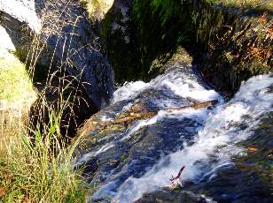 Saut de la Forge