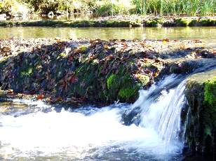 Saut de la Forge