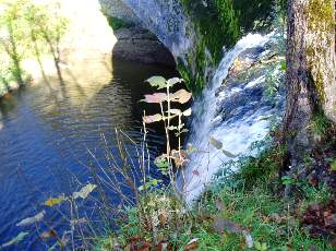 Saut de la Forge