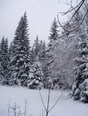 Tempête sur le Jura