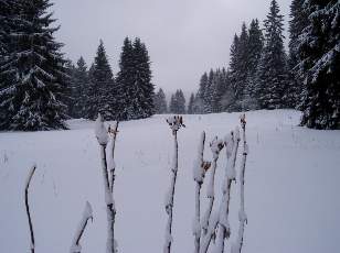 Tempête sur le Jura
