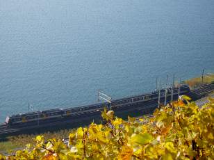 Vigne du Lavaux en novembre avec vue sur le lac Lman