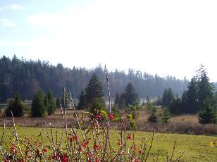 Lac et tourbires de Malpas, les prs Partot et le bief Belin