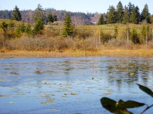 Lac et tourbires de Malpas, les prs Partot et le bief Belin