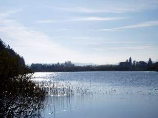 Lac et tourbires de Malpas, les prs Partot et le bief Belin