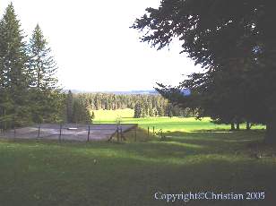 Les Sapins du Jura