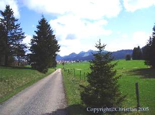 Les Sapins du Jura