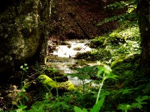 Saut de l'Eau, Sainte-Croix