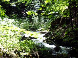 Saut de l'Eau, Sainte-Croix