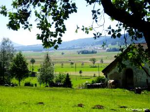 Valle des Ponts-de-Martel