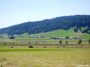 Valle des Ponts-de-Martel