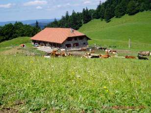 Chalet d'alpage