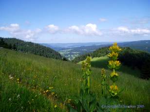 Autour du Suchet