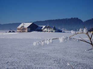 Le lac des Taillres en hiver