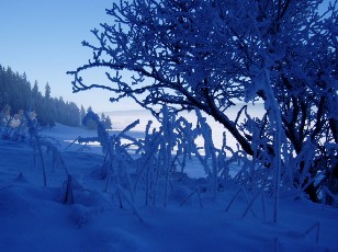 Le lac des Taillres en hiver