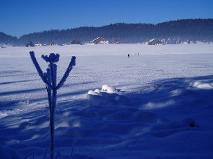 Le lac des Taillres en hiver