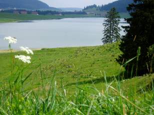 Le lac des Taillres