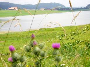 Le lac des Taillres