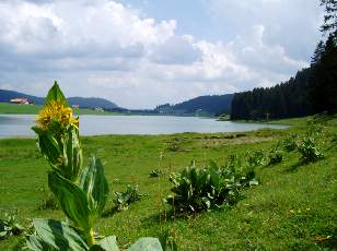 Le lac des Taillres