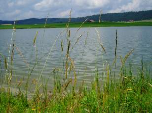 Le lac des Taillres