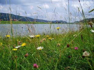 Le lac des Taillres