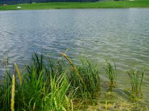 Le lac des Taillres