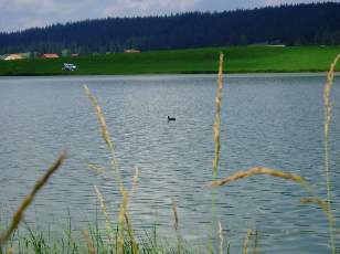 Le lac des Taillres