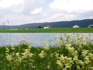 Le lac des Taillres