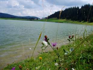 Le lac des Taillres