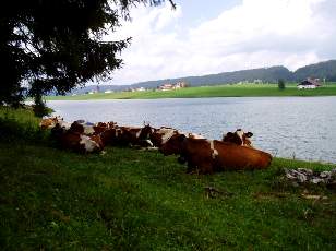 Le lac des Taillres