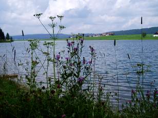 Le lac des Taillres